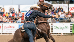 Sort Of Popular é eleita cavalo do ano AQHA/PRCA 2021