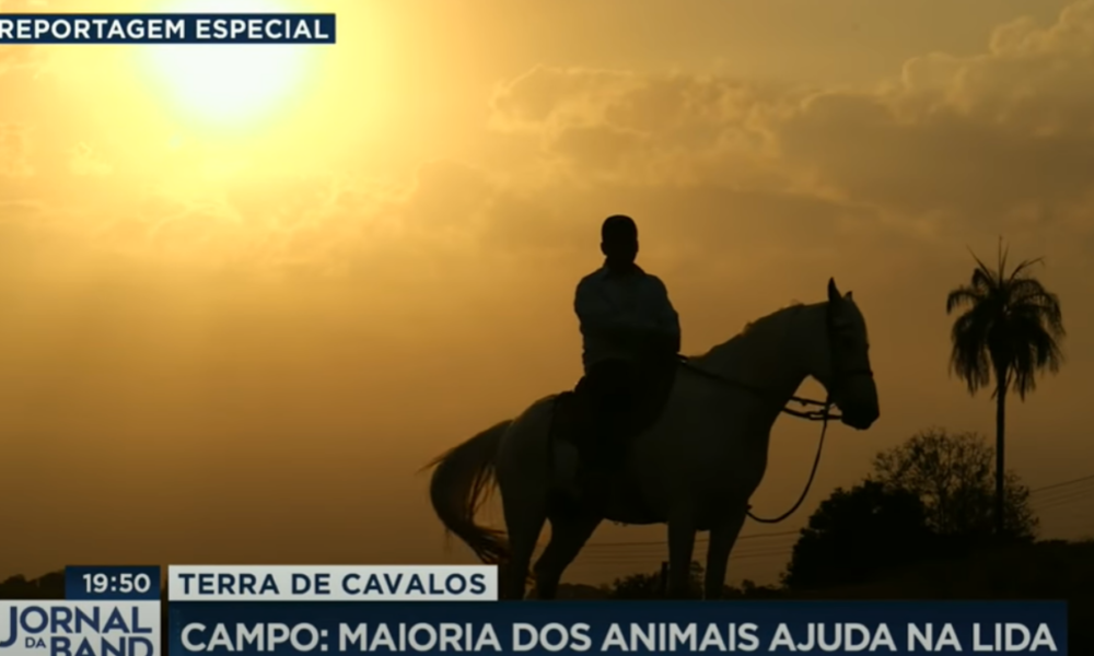 “Terra de Cavalos” destaca o universo equino no Brasil