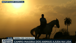 “Terra de Cavalos” destaca o universo equino no Brasil