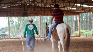 Equoterapia traz inúmeros benefícios para os idosos