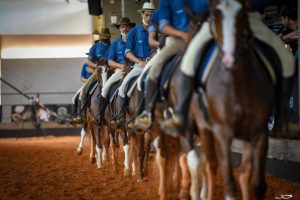 Qualidade da marcha do cavalo Mangalarga foi destaque da 3ª Expo Nacional da raça