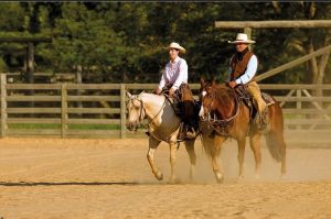 Ritmos do Horsemanship é tema de live do professor Eduardo Borba