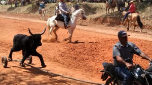 Provas de Laço Comprido utilizando moto vaca se espalham pelo país