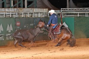 Working Cow Horse é a base para uma boa formação do cavalo de Trabalho