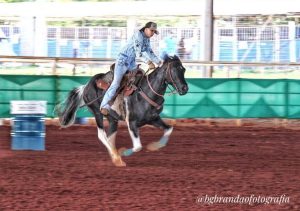 Estão abertas as Inscrições para o 22° Campeonato Nacional da Associação Brasileira dos Criadores do Cavalo Paint