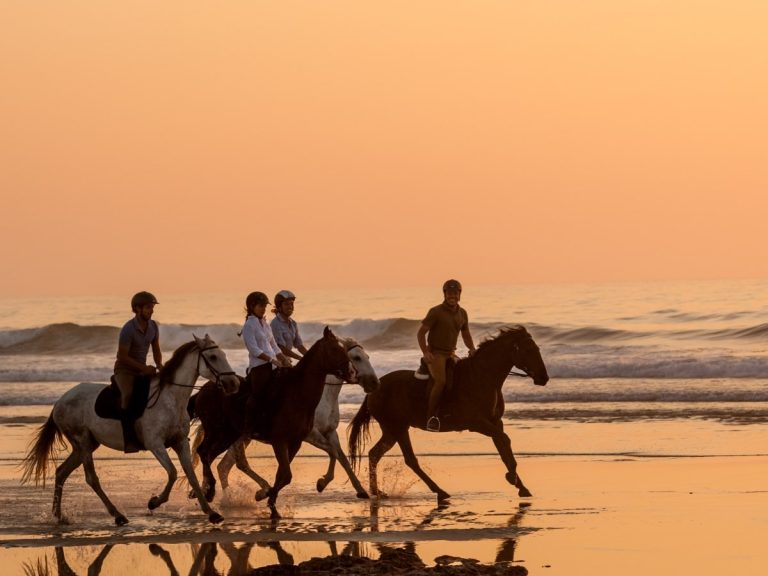 Cavalgada das Quatro Águas em Portugal: mar, rio, lagoa e riachos