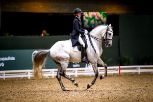 Sociedade Hípica Paulista recebe Campeonato Brasileiro de Adestramento e Taça Brasil de Adestramento Indoor