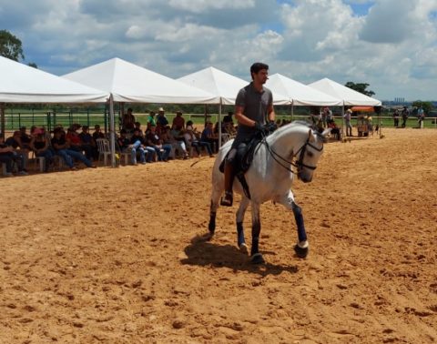 19° Encontro Internacional de Horsemanship reuniu diversos mundos na Universidade do Cavalo
