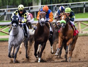 Desafios dos Esportes Equestres no Mundo em Transformação