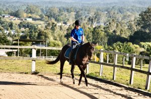 19° Encontro Internacional de Horsemanship movimentam a Universidade do Cavalo