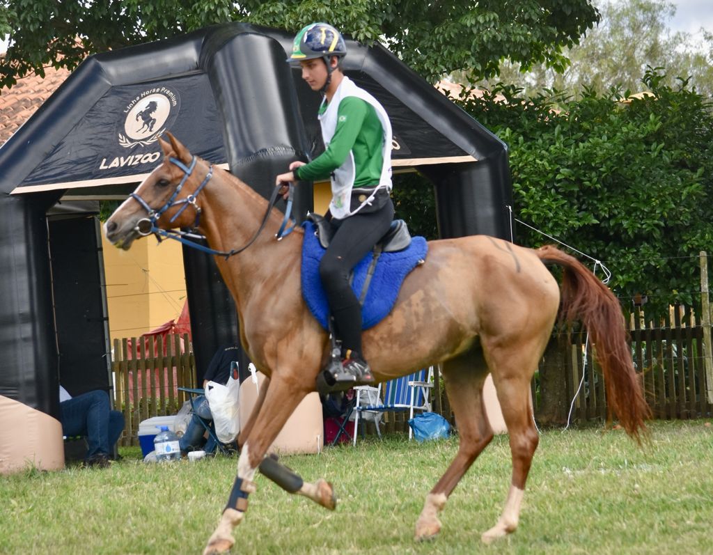 Cavalo Árabe conquista principal categoria do III Internacional Endurance Festival of Campos Gerais