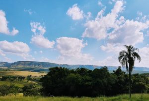 Brasil rural, o país que dá certo