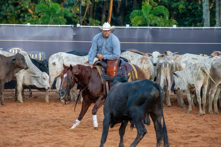 Bahia é palco da Apartação na 2ª Etapa Laredo Blue do Campeonato Baiano 2021/2022