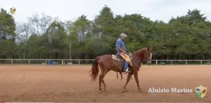 TV UC – Importância do exercício círculo para o cavalo