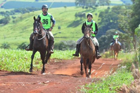 Haras Espinhaço recebe primeira Mangalargada de 2022