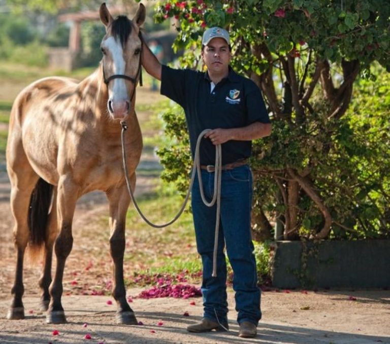 3° Curso de Horsemanship e Cuidados Gerais reúne apaixonados por cavalos em Avaí/SP