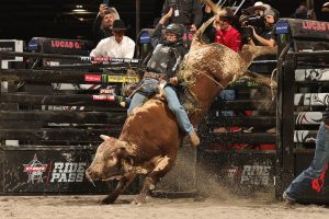 Brasileiro Dener Barbosa é vice na etapa de abertura da temporada PBR 2022