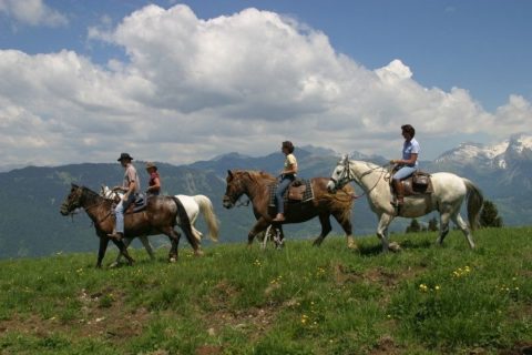 Cavalgada nos Alpes: Uma imersão na natureza e história dos Alpes, no sopé do famoso Mont Blanc