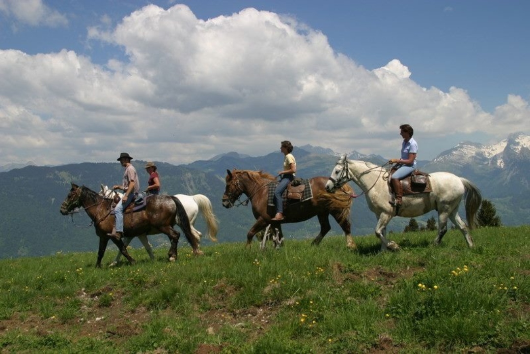 Cavalgada nos Alpes: Uma imersão na natureza e história dos Alpes, no sopé do famoso Mont Blanc