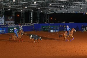 Conheça a história dos laçadores do Haras Fazenda Mosquito que serão premiados durante o 14º ABQM Awards