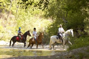 Cavalgada e culinária na Toscana