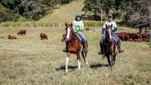 Haras Espinhaço em Botucatu (SP) recebe primeira Mangalargada de 2022