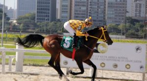 Prêmio especial Haras Serondella reúne 10 exemplares Árabes em disputa nos 1.300m