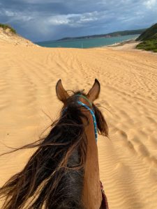 Cavalgada pelas praias da região de Pipa