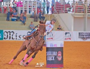 Cavalo Árabe exibe sua funcionalidade na 1ª etapa da Copa ABCCA/ANCAF de Três Tambores