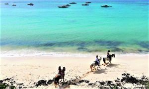 Cavalgada em Anguilla – uma das ilhas mais bonitas do Caribe