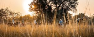 Safari a cavalo em Zâmbia