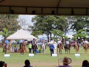 ABCZ Equishow estará na 87º ExpoZebu