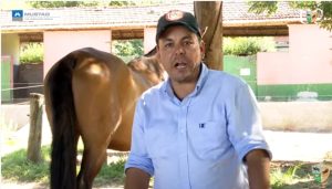 TV UC – Cavalo que assusta com fumaça na hora de ferrar