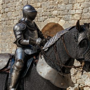 Cavalos medievais do tamanho de pôneis?!