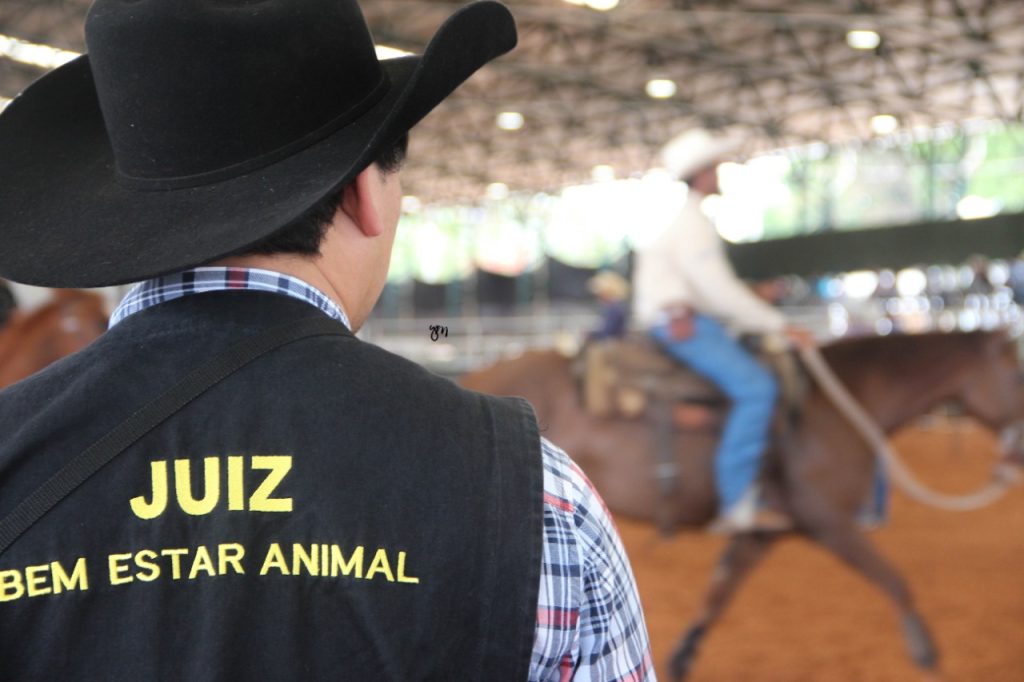 Provas oficiais oferecem respaldo e proteção ao animal e aos competidores