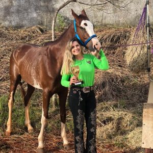 Mangalarga do Brasil vence prova de Enduro Equestre em Brasília/DF