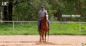 TV UC – O que fazer com os cavalos com a pista encharcada?