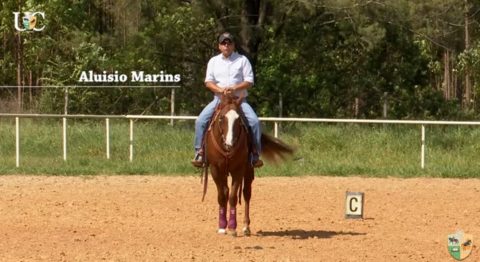 Trabalhe seu cavalo numa pista 20 x 40 m