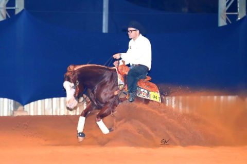 Estão abertas as inscrições do 1º Futurity Sacramento e 2ª Copa Sacramento Wrangler da ANCR