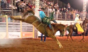 Rodeio – Final de semana tem Violeira e Cavalgada em Barretos/SP