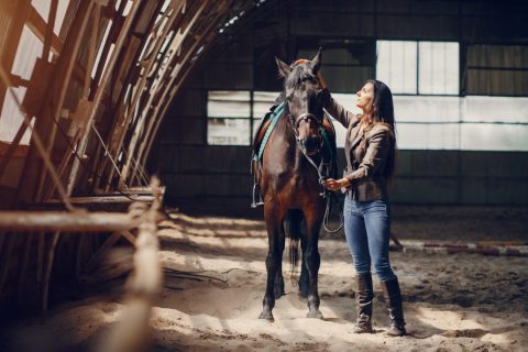 Foundation of the Horse oferece bolsa de estudo de US$ 20 mil