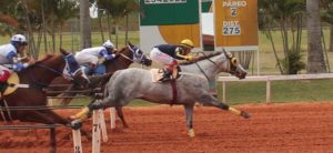 Jockey Club de Sorocaba reuniu quatro páreos neste sábado (23)