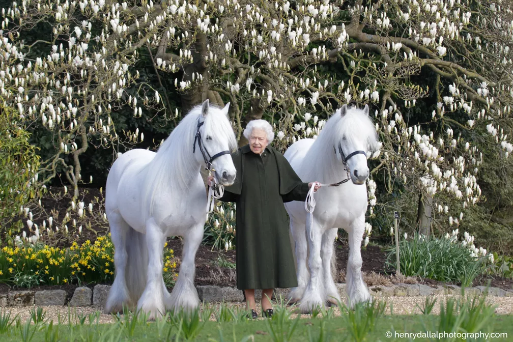 Rainha Elisabeth comemora 96 anos com uma foto com seus pôneis