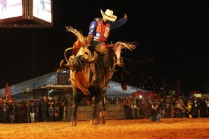 Ribeirão Rodeo Music: competidores terão chance de treinamento nos Estados Unidos