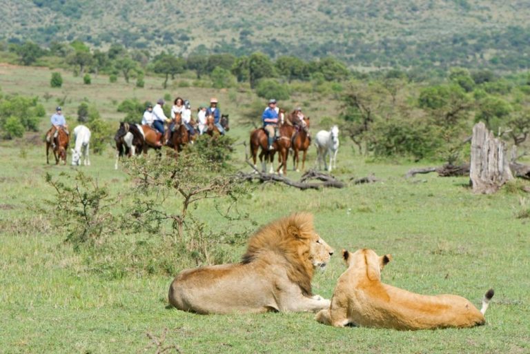 Safári a cavalo – Quão seguro é cavalgar nas proximidades de leões, rinocerontes, elefantes?