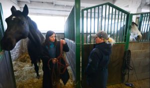 Ucraniana enfrenta os riscos da guerra para resgatar seu cavalo