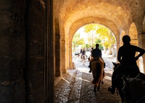 Cavalgadas para amantes de vinho