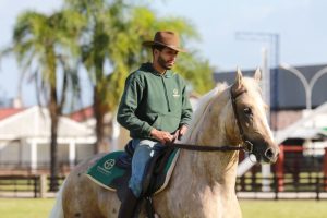 Expo Brasileira surpreende pela qualidade funcional dos cavalos Mangalarga em pista