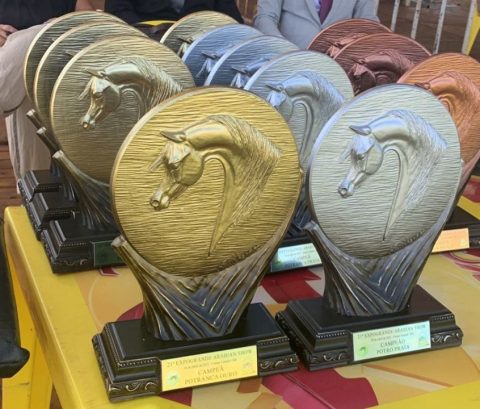 21ª ExpoGrande Arabian Show atrai interesse de novos criadores de cavalo Árabe