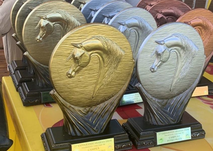 21ª ExpoGrande Arabian Show atrai interesse de novos criadores de cavalos Árabe